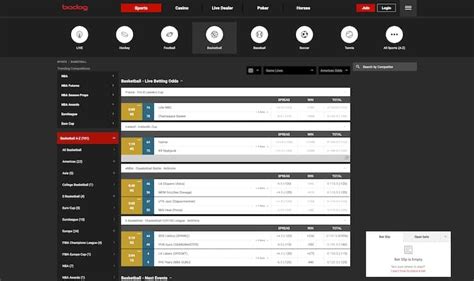 bodog basketball odds|Basketball .